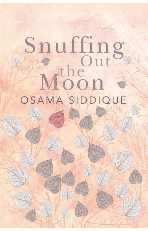 Snuffing out the Moon